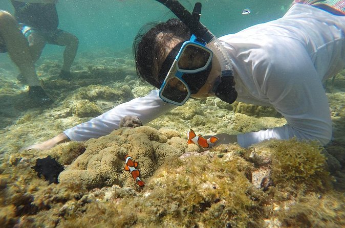 Full Day Apo Island Tour from Dumaguete - The 30-minute Habagat Trail trek for coastline and marine sanctuary views