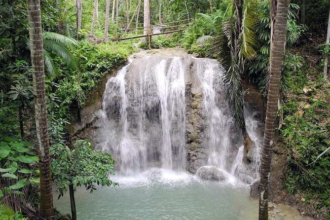 Full-Day Private Siquijor Island Tour - Toilets, crowds, and the kind of day to plan for