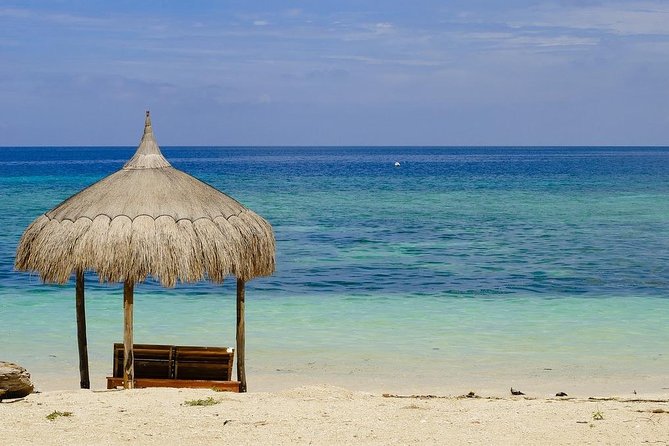 Full-Day Private Siquijor Island Tour - Who this private Siquijor tour is best for