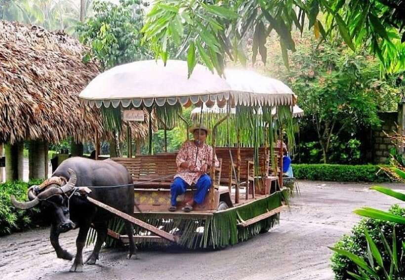 Full Day Tour Villa Escudero Plantation - The Plantation Museum: artifacts tied to the Escudero family
