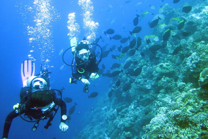 Fun Boat Dive for certified diver - Why Mactan Island scuba feels easier than you expect
