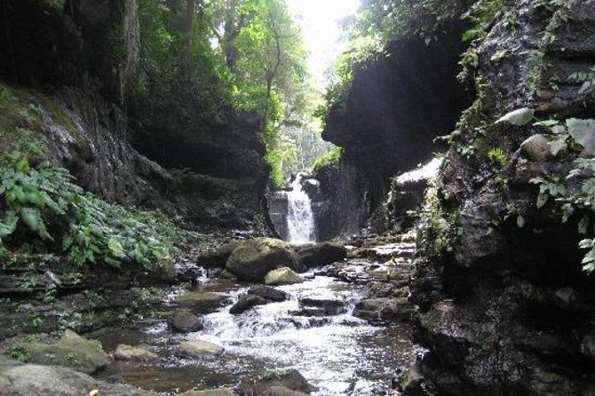 Hidden Valley Springs Resort Day Trip from Manila - Key highlights you will actually care about
