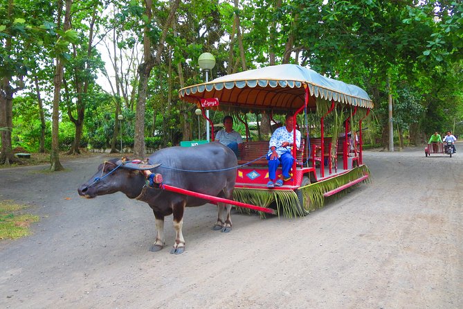 Immerse in Culture: Villa Escudero Coconut Plantation Experience - Villa Escudero is a plantation day, not a quick stop