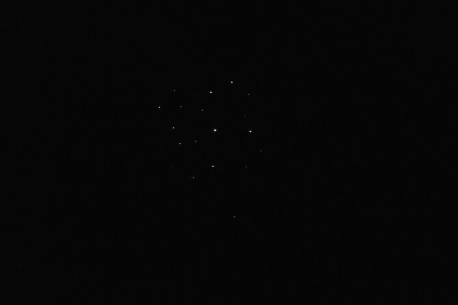Joiners Firefly Watching Tour - Why This Firefly Dinner Cruise Works in Palawan Nights