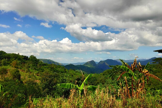 Manila ATV Mountain Trail Adventure(with Transfers***) - The San Mateo mountain ride: forest roads and trail views