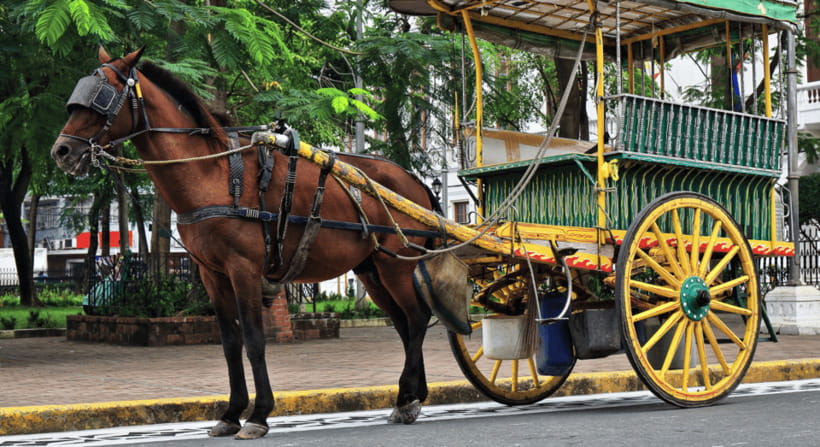 MANILA: HISTORICAL KALESA RIDE TOUR EXPERIENCE IN INTRAMUROS - Key things to know before you go