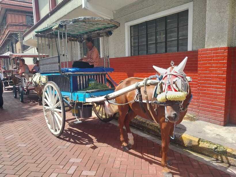 Manila: Intramuros and Chinatown Food Tour with Food Samples - Your Guide, Small Group Size, and Photo Assistance That Actually Helps