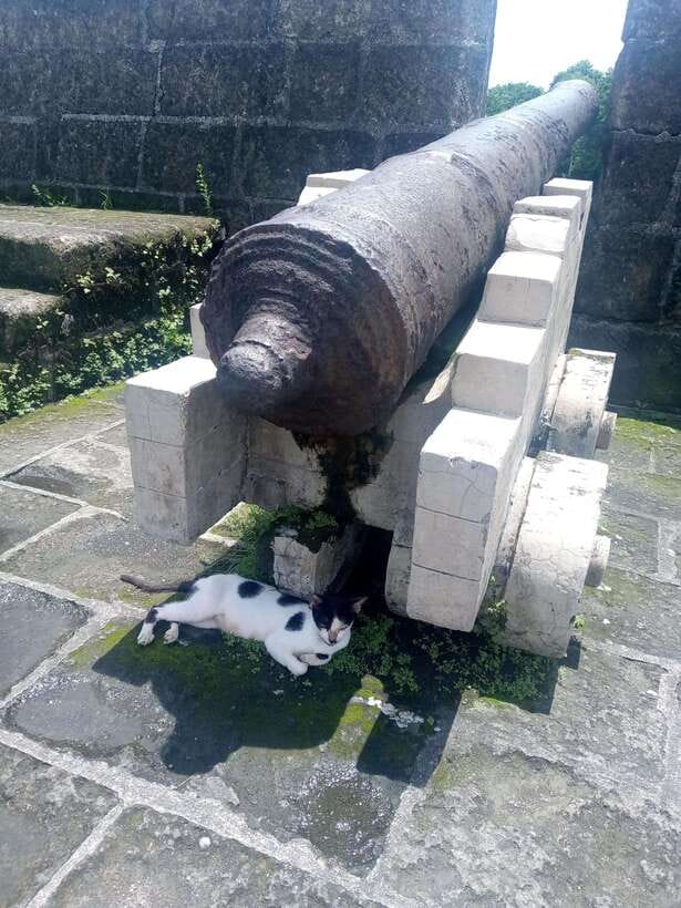 Manila: Intramuros Tour ( Dark) - Who the Guide Lifts Up: Heroes from Rajah Sulayman to Gen. Vicente Lim