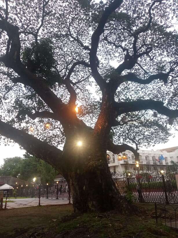 Manila: Intramuros Tour ( Dark) - Dungeons, Barracks, and the Stories Behind the Dark