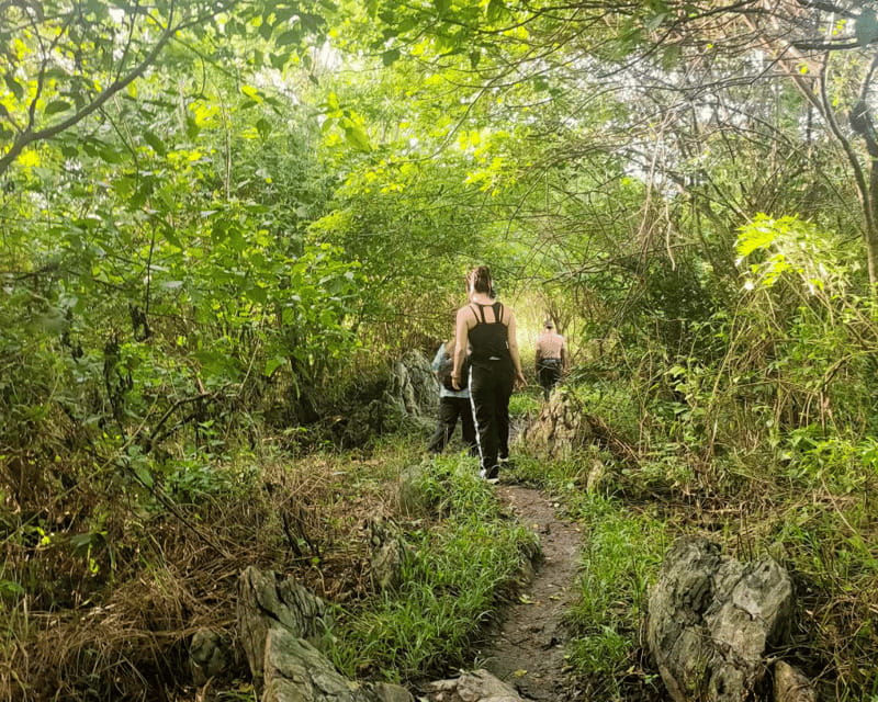 Manila: Mt. Kulis, Tanay, Rizal Hike and Scenic Adventure - Noah’s Ark and the Hanging Bridge: Fun, but Take It Seriously
