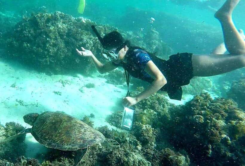 Moalboal: Pescador Island Hopping Adventure and Sardine Run - Why Pescador Island’s Sardine Run is the whole point