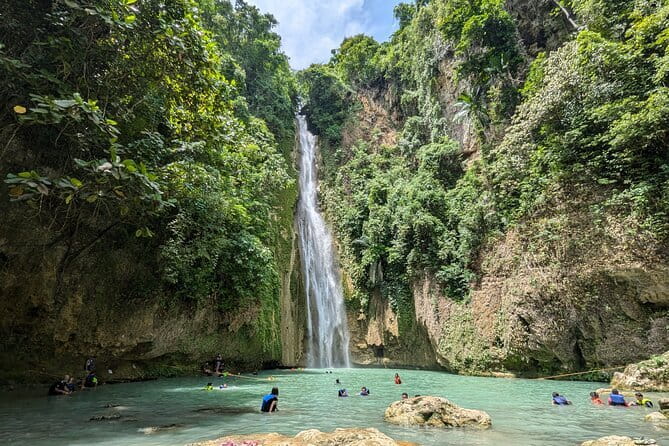 Moalboal Sardine Run, Sea Turtle and Mantayupan Falls - A 5:00 am Start That Makes the Whole Day Work