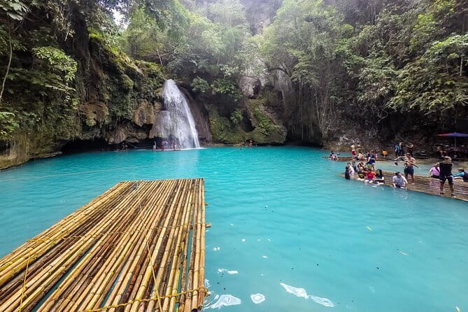 Moalboal Sardine Run, Sea Turtle and Mantayupan Falls - Price and Value: Why $99 Works for a Long Day