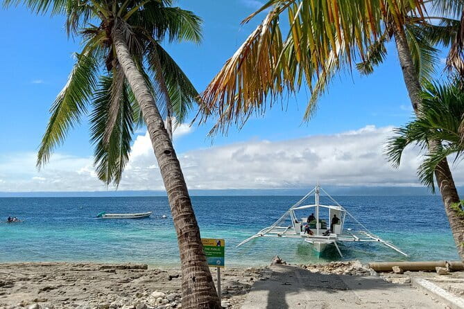 Moalboal Sardine Run, Sea Turtle and Mantayupan Falls - Who This Tour Fits Best (and Who Should Skip It)