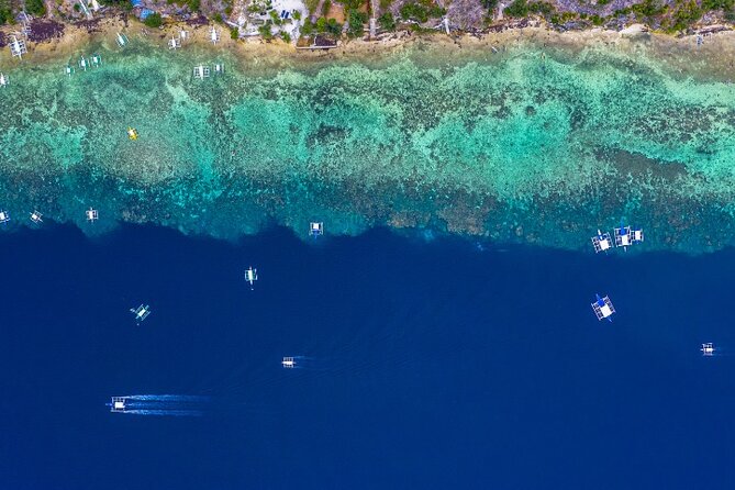 Moalboal Sardines Run Private Tour w/ Transfers Option - Getting in the water: comfort-first snorkeling for first-timers