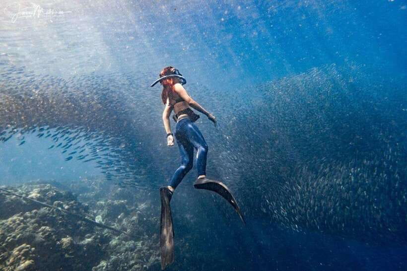 Moalboal: Scuba Diving and Pescador Island Hopping - Key highlights that matter