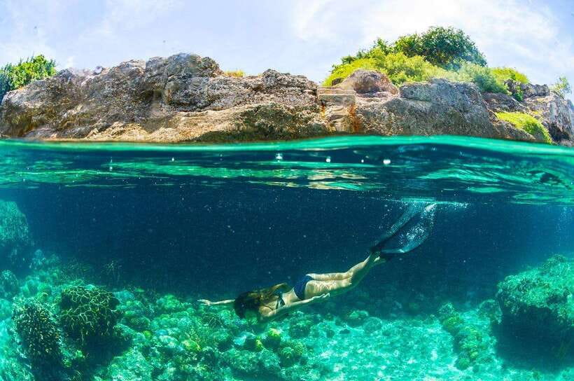 Moalboal: Scuba Diving and Pescador Island Hopping - Gear, English-speaking instructors, and why “experienced” matters