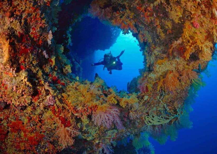 Moalboal: Scuba Diving and Pescador Island Hopping - What to bring, what to expect, and the rules you should follow