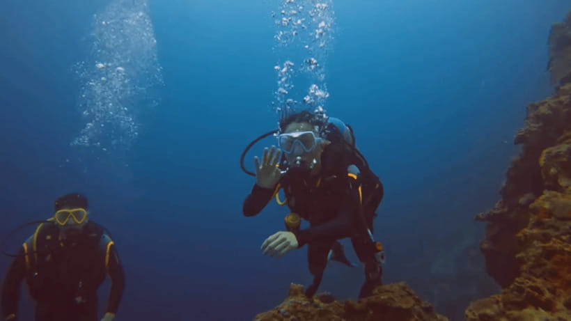 Moalboal: Scuba Diving and Pescador Island Hopping - Who should book this Moalboal day and who should skip it