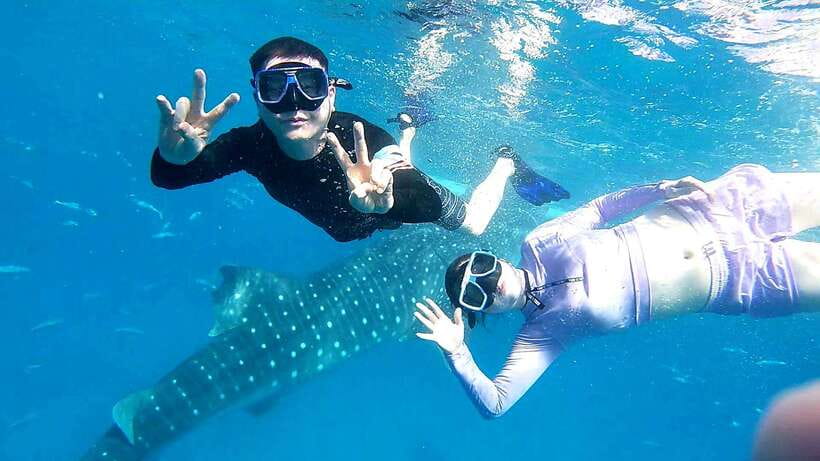 Oslob Cebu: Whale Shark Watching Day Tour - Safety briefing, life jacket, and the no-touch rules that matter