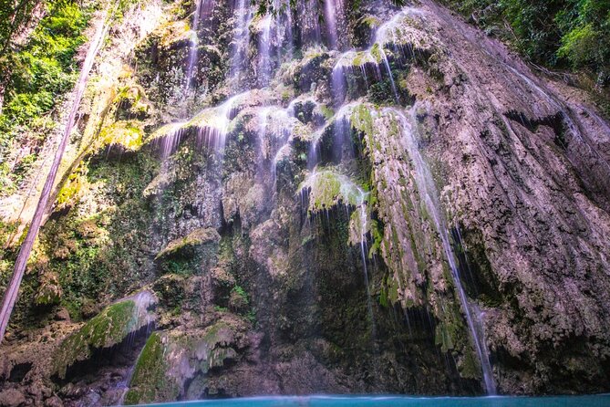 Oslob Whale Shark Private Tour with Sumilon & Tumalog Falls - Logistics That Actually Affect Your Comfort (Not Just Your Schedule)