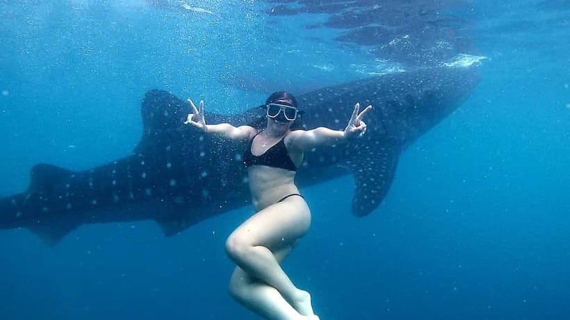 Oslob Whale Shark Swimming & Kawasan Falls Canyoneering - Guides, Photos, and That GoPro Question (PHP 550)
