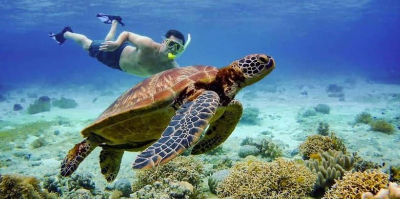 Oslob: Whale shark swimming, Tumalog Falls, Sumilon Sandbar - Cost and value: is $125 a fair deal for this much included?