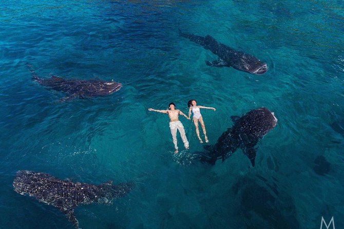 Oslob Whale Shark & Tumalog Falls & Kawasan Falls Canyoneering - Price and what you actually get for $197