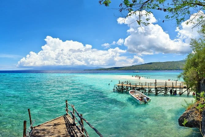 Oslob Whale Shark & Tumalog Waterfalls & Sumilon Sandbar - Whale shark snorkeling in Oslob, the main reason people book