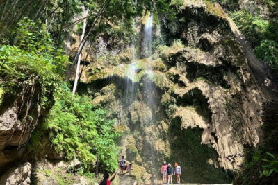 Oslob Whale Shark & Tumalog Waterfalls & Sumilon Sandbar