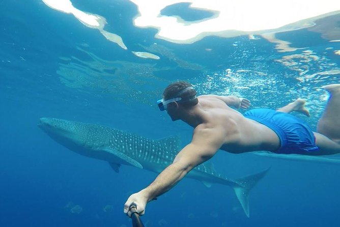 Oslob Whale Shark Watching - Snorkeling gear, masks, and the GoPro question