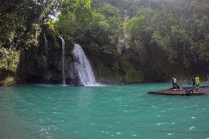 Oslob Whale Shark Watching + Kawasan Falls Day Tour - Oslob whale sharks: what the early start really buys you