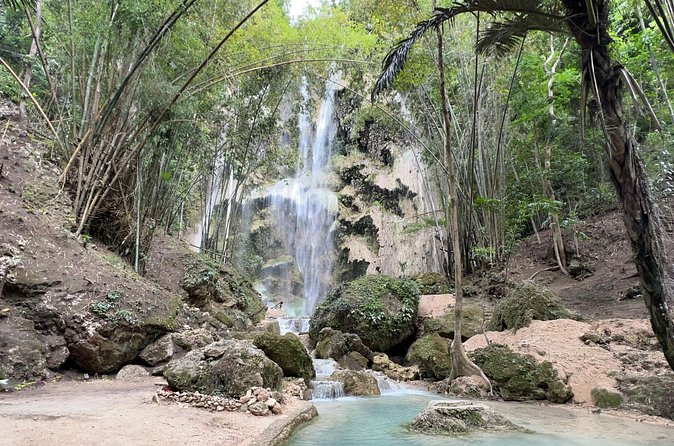 Oslob Whale Shark Watching + Kawasan Falls Day Tour - Three-tier waterfall time: emerald pools and optional raft rental