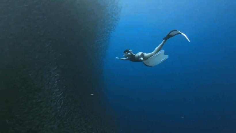 Oslob: Whale Sharks, Inambakan Falls & Moalboal Sardines - The part you should plan for: waiting time in Oslob
