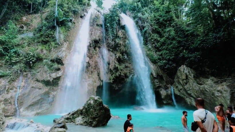 Oslob: Whale Sharks, Inambakan Falls & Moalboal Sardines - Moalboal Sardine Run snorkeling: gear up, find the school, and keep an eye out for turtles