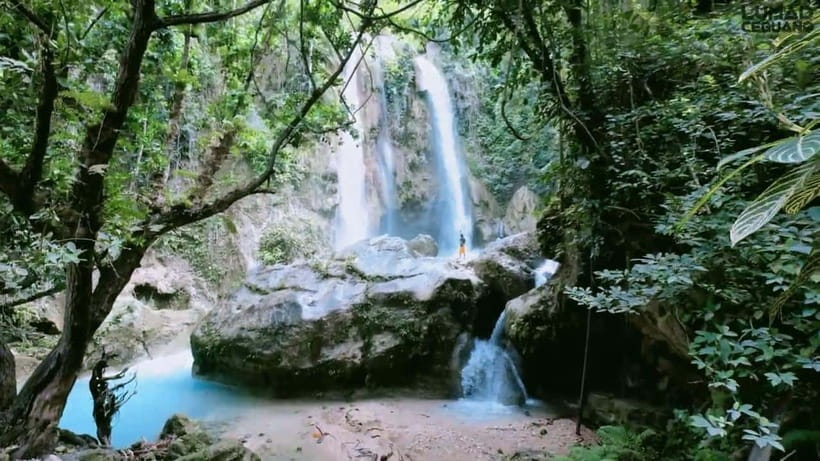 Oslob: Whale Sharks, Inambakan Falls & Moalboal Sardines - Who this tour fits best, and who should think twice