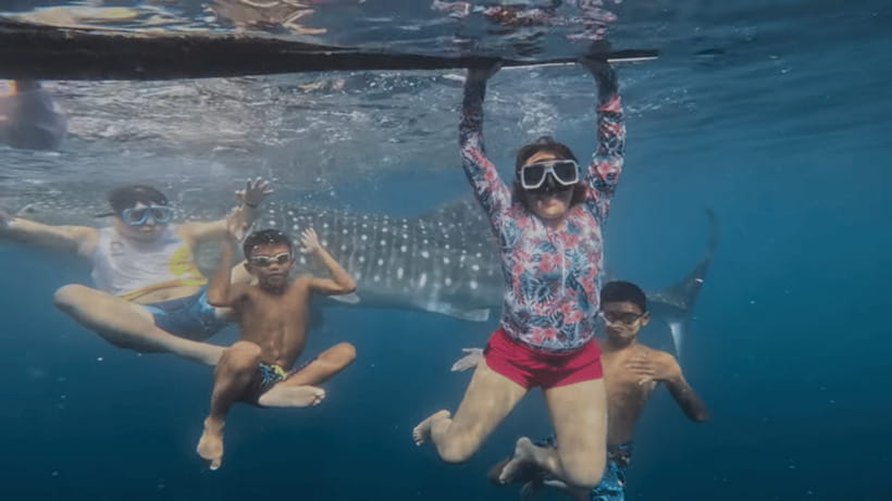 Oslob: Whale Sharks, Tumalog Falls & Sumilon Trio Adventure - Quick hits
