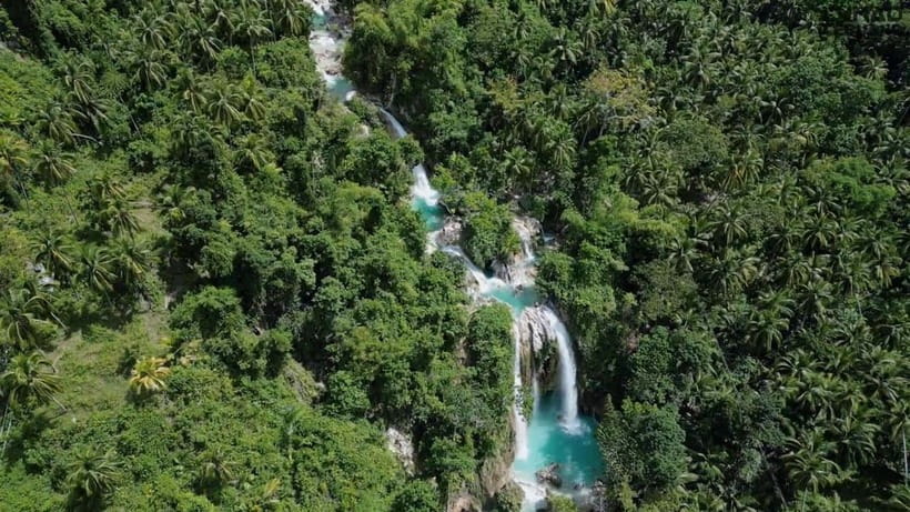 Oslob: Whaleshark Swimming, Inambakan Falls & Moalboal Tour - Should You Book This Oslob and Moalboal Marine Adventure?