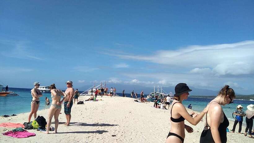 Oslob: Whaleshark Swimming, Tumalog Falls & Sumilon Island - Who this Oslob tour is best for