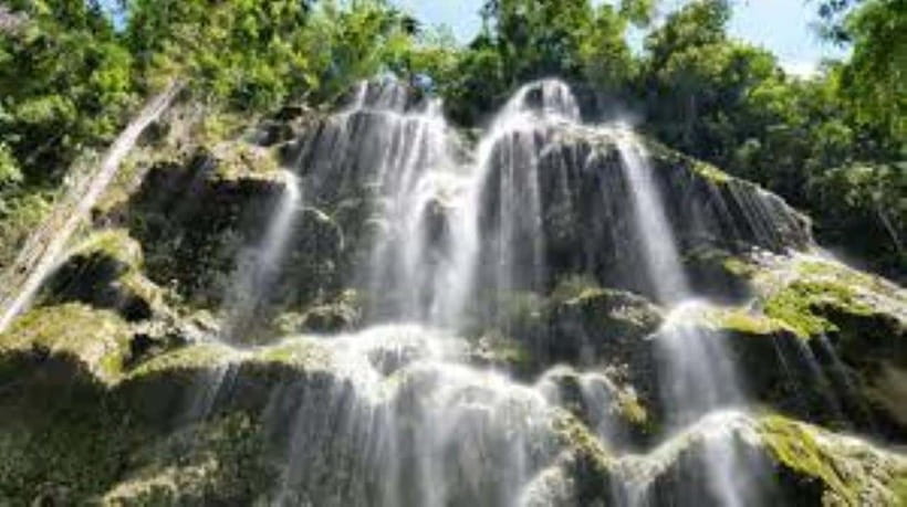 Oslob: Whaleshark Swimming, Tumalog Falls & Sumilon Island - A one-day Oslob sweep that connects whale sharks, falls, and beaches