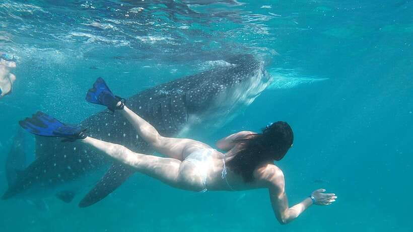 Oslob: Whaleshark Swimming, Tumalog Falls & Sumilon Island - Tumalog Falls: a waterfall swim stop that feels like a breather