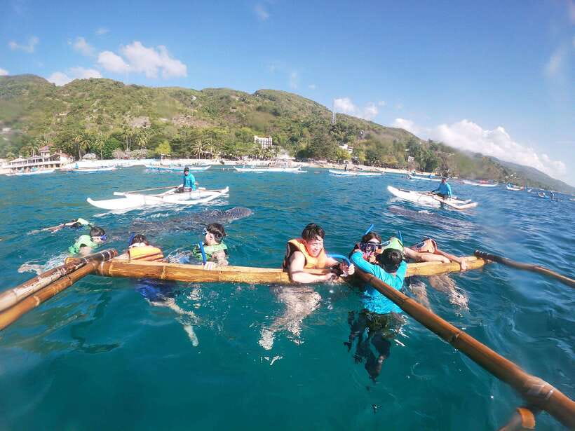 Oslob: Whaleshark Swimming, Tumalog Falls & Sumilon Island - Sumilon Island: how to make the most of white sand and ocean time