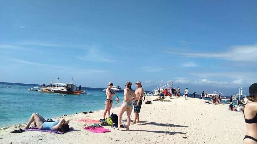 Oslob: Whaleshark Swimming, Tumalog Falls & Sumilon Island - Guide quality and organization: what the best days feel like, and what to watch for