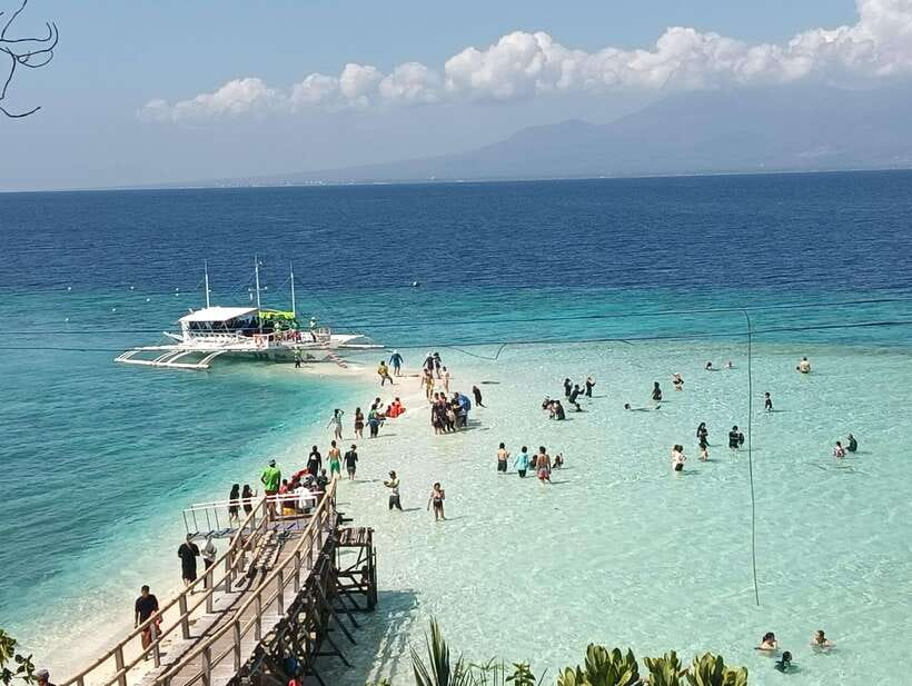 Oslob: Whaleshark Watching, Sumilon Island & Monkey Viewing - A 1-day loop around Southern Cebu: Oslob, Tumalog Falls, Sumilon, and monkeys