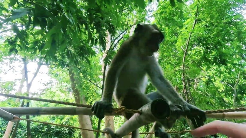 Oslob: Whaleshark Watching, Sumilon Island & Monkey Viewing - Oslob breakfast and the Cuartel stop: using the morning break well