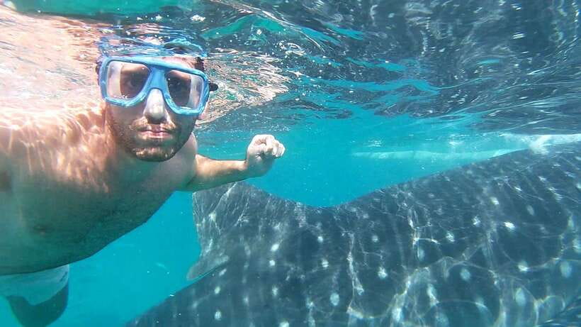 Oslob: Whaleshark Watching, Sumilon Island & Monkey Viewing - Timing and transport: private pickup, long days, and why it matters