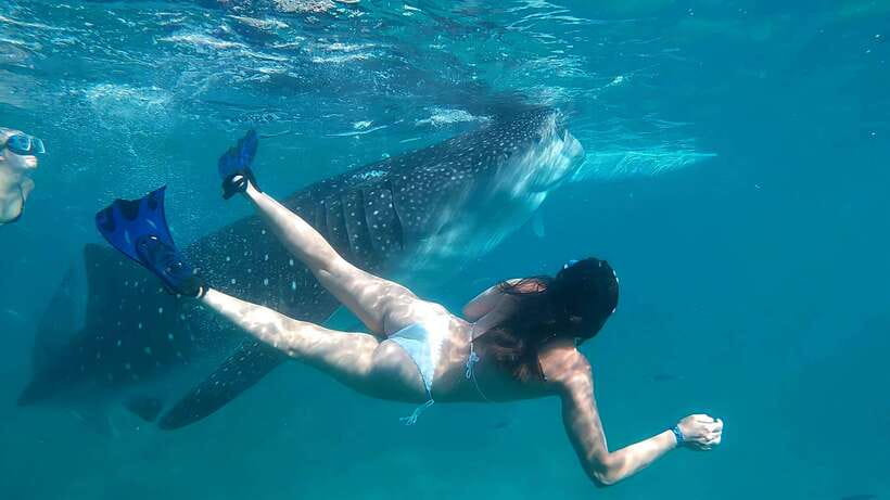Oslob: Whaleshark Watching, Tumalog Falls & Sumilon Island - Price and Value: Does $103 Cover What You Actually Want?