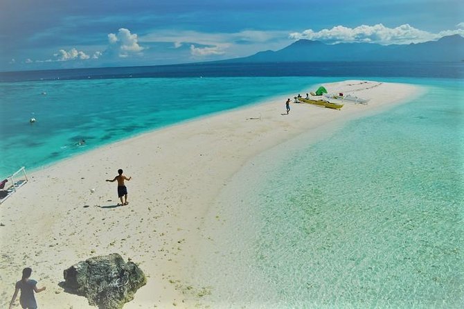 Oslob Whaleshark with Sumilon Island - Whale shark watching in Oslob: swim, or stay on the banca