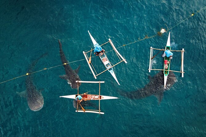 Oslob Whaleshark with Sumilon Island - Tumalog Falls: the mini umbrella cascade stop that resets you