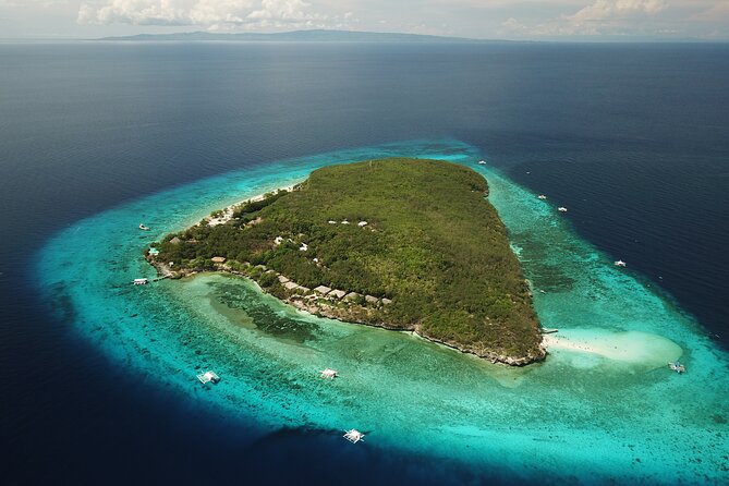Oslob Whaleshark with Sumilon Island - Price and value: is $120 fair for a full Oslob and Sumilon day?